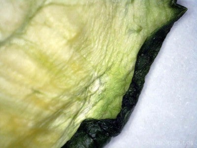 2 Tage alte Grüne Gurke 2 Tage alte Grüne Gurke