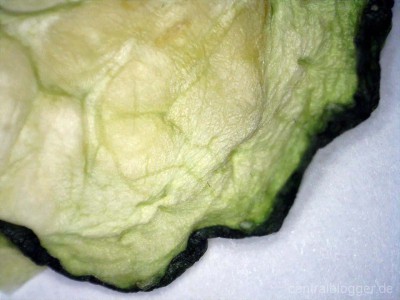 4 Tage alte Grüne Gurke 4 Tage alte Grüne Gurke