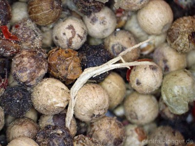 Bunte Pefferkörner Mix
