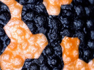 Faszienball Faszienball