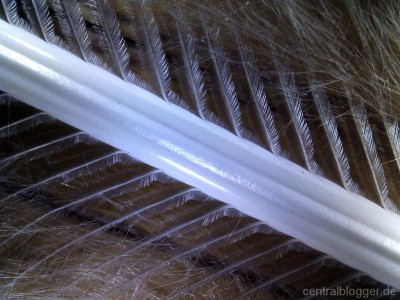 Taubenfeder Taubenfeder