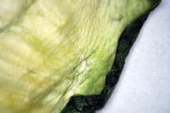 2 Tage alte Grüne Gurke