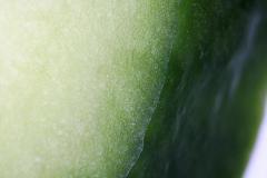 Frisches Stück Grüne Gurke