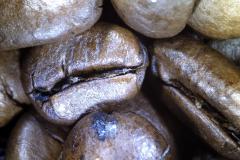 Kaffeebohnen