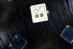 Pulsmesser-Samsung-Smartwatch