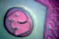 Sohle eines Kinderschuhs